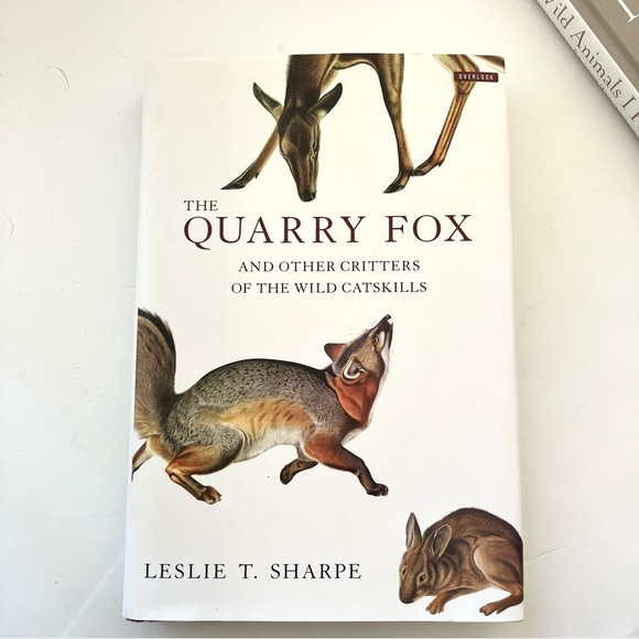 Book Bundle - Picture 4 of 9